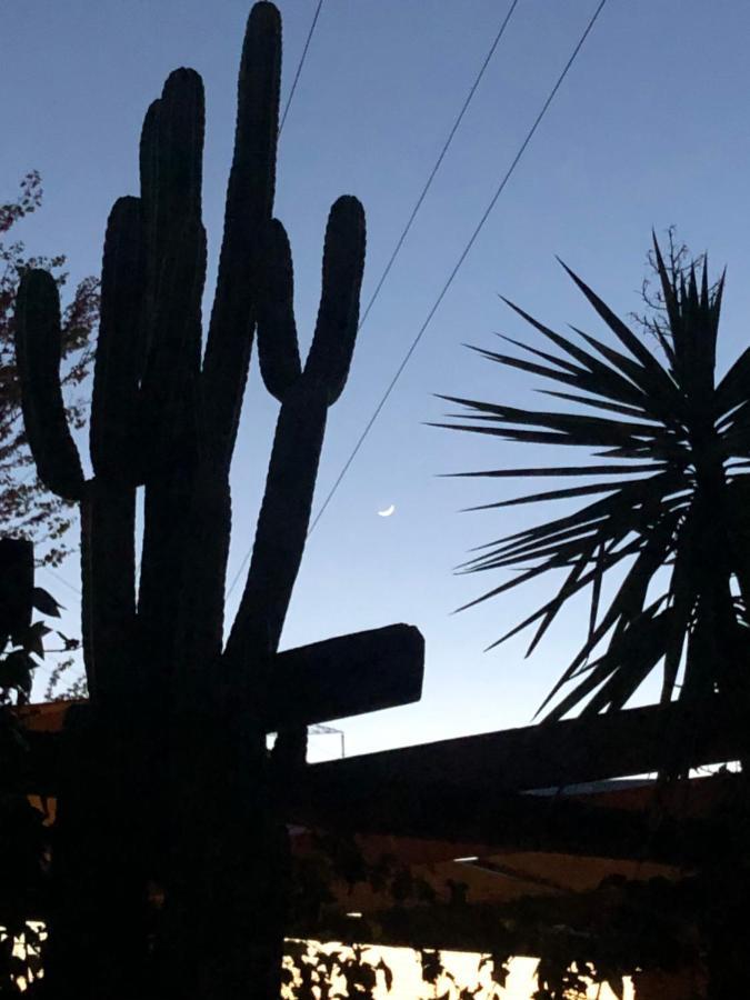 La Casita Del Cactus - Casa De Campo Con Piscina Alcalá de Guadaira Esterno foto