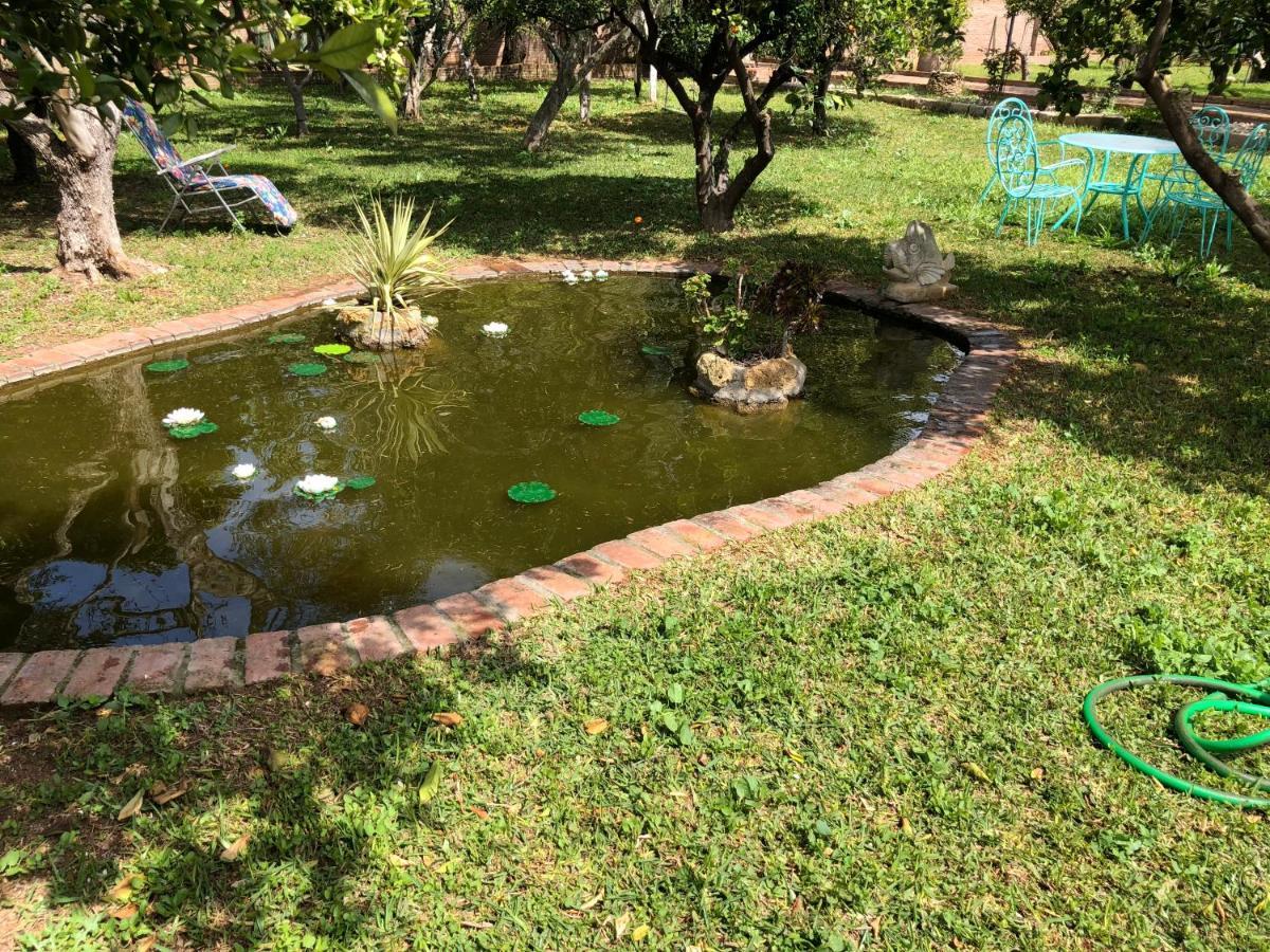 La Casita Del Cactus - Casa De Campo Con Piscina Alcalá de Guadaira Esterno foto