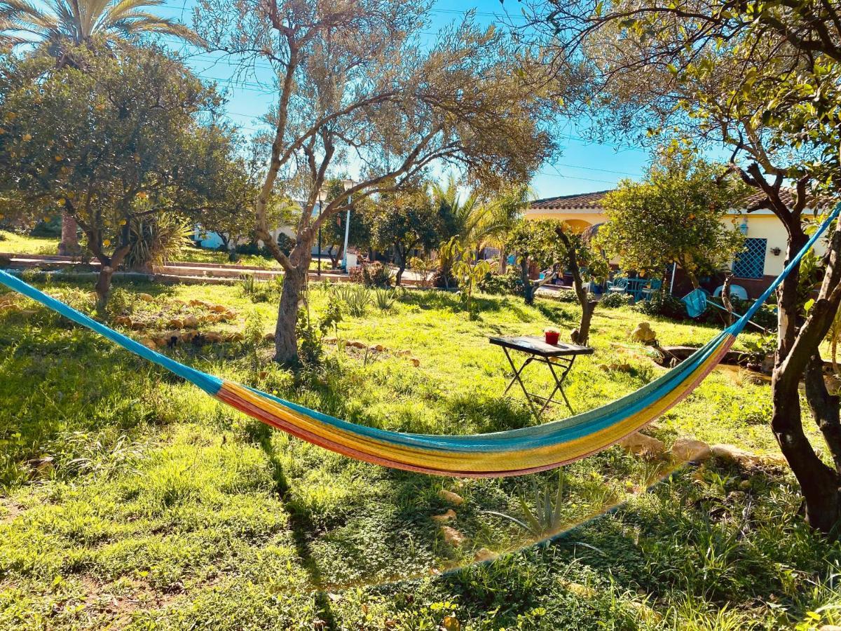 La Casita Del Cactus - Casa De Campo Con Piscina Alcalá de Guadaira Esterno foto
