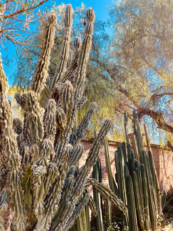 La Casita Del Cactus - Casa De Campo Con Piscina Alcalá de Guadaira Esterno foto