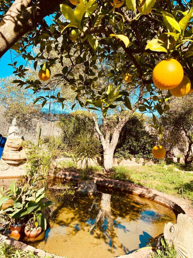 La Casita Del Cactus - Casa De Campo Con Piscina Alcalá de Guadaira Esterno foto